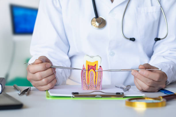 Best Emergency Root Canal Treatment in Shasta, CA
